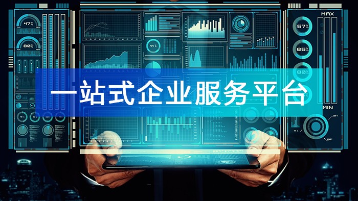 “一站式企業(yè)服務(wù)平臺” 的數(shù)據(jù)基礎(chǔ)和應(yīng)用場景!