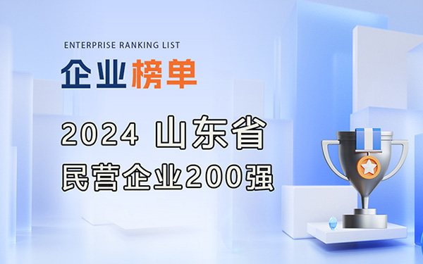 2024年山東省民營企業(yè)200強榜單