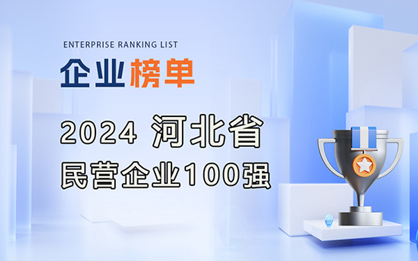 2024 河北省民營企業100強