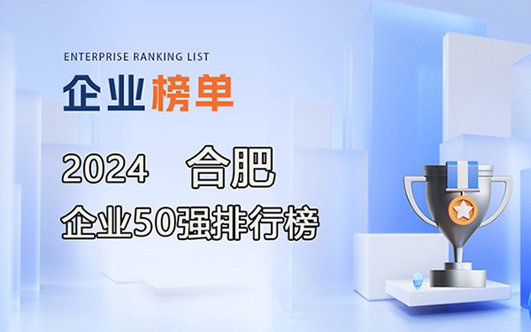 2024合肥企業(yè)50強(qiáng)排行榜